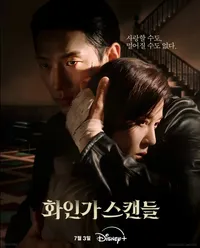 화인가스캔들